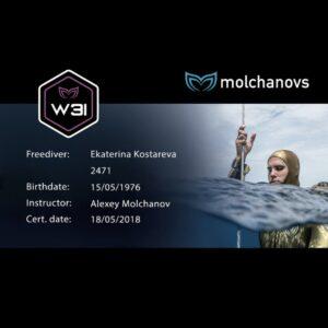 Екатерина Сергеевна Костарева